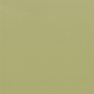 Coala Interior Film jednolite kolory Interior Film Solid Colours Dropshipment OMG Light Olive Grain 215 µ 1220 x 50.00