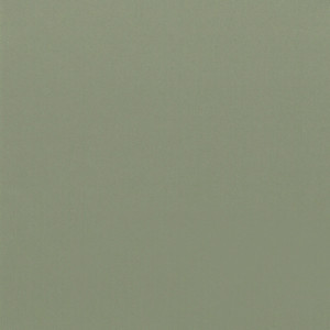 Coala Interior Film jednolite kolory Interior Film Solid Colours Dropshipment OMG Olive Green 215 µ 1220 x 50.00