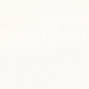 Coala Interior Film jednolite kolory Interior Film Solid Colours Dropshipment OMG Creamy White 220 µ 1220 x 50.00