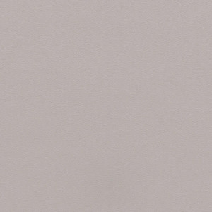 Coala Interior Film jednolite kolory Interior Film Solid Colours Dropshipment OMG Light Grey 215 µ 1220 x 50.00