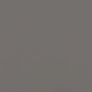 Coala Interior Film jednolite kolory Interior Film Solid Colours Dropshipment OMG Light Anthracite Grey 220 µ 1220 x 50.00