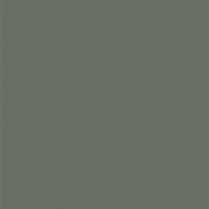 Coala Interior Film Exterior EXT - Z13 Interior Film Dropshipment OMG 250 µ 1220 x 50.00