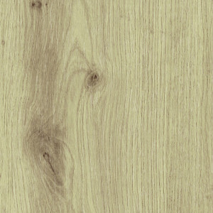 Coala Interior Film Exterior EXT - Z18 Interior Film Dropshipment OMG 250 µ 1220 x 50.00