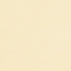 Papier Conqueror Laid, vellum, 300 g/m², 720x1020 mm, B1+, bez znaku wodnego