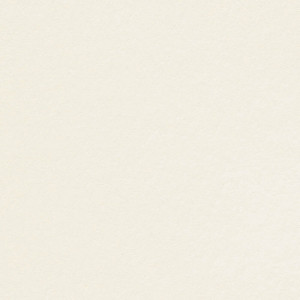 Papier Conqueror Wove, oyster, 120 g/m², 450x640 mm, SRA2, bez znaku wodnego