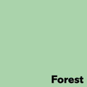Image Coloraction Coloraction papier offsetowy Forest/Pastel Green 160 g/m² SRA2 długi bok ryza 250 ark. 450 x 640