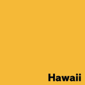 Image Coloraction Coloraction papier offsetowy Hawai/pale gold SY40 80 g/m² SRA2 długi bok ryza 500 ark. 450 x 640
