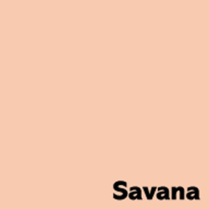 Image Coloraction Coloraction papier offsetowy Łososiowy/Savana SA24 80 g/m² SRA2 długi bok ryza 500 ark. 450 x 640