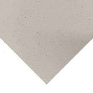 myFlora papier ozdobny avorio 240 g/m² B1+ długi bok supergładki 2-stronny ryza 125 ark. 720 x 1020