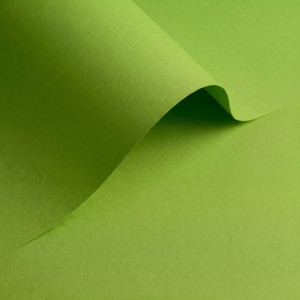 Olin Colours Colours mat papier offsetowy Pistachio 90 g/m² SRA2 długi bok 116 µ gładki ryza 250 ark. 450 x 640