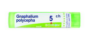 Gnaphalium Polycephalum 5ch Boiron