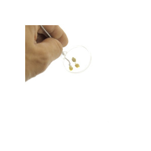 Apiculture.net - Matériel apicole français Picking en inox avec loupe