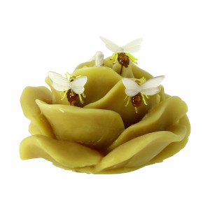Apiculture.net - Matériel apicole français 100 abeilles à piquer