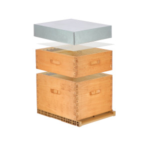 Ecoruche : Ruches Classiques en Bois Ruche lasurée Dadant 10 cadres + Hausse - Châtaignier
