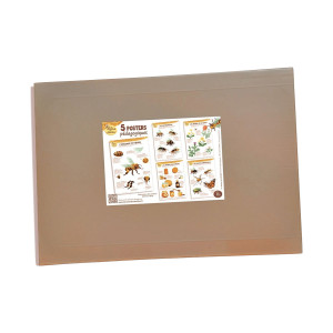La Ruche des Abeilles® Kit de 5 posters pédagogiques
