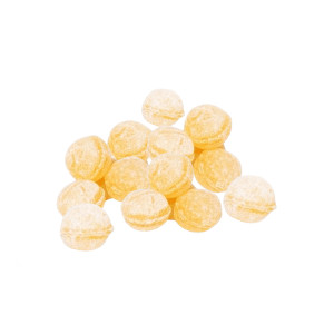Apiculture.net - Matériel apicole français 10 kg bonbons miel eucalyptus