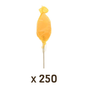 Apiculture.net - Matériel apicole français 250 Sucettes Miel & Orange