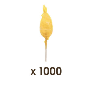 Apiculture.net - Matériel apicole français 1000 Sucettes au Miel