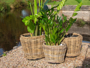 Ghiveci din ratan, natural, diametru 65 cm, inaltime 50 cm