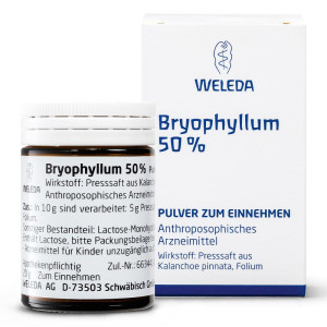 Weleda Bryophyllum 50% Pulver zum Einnehmen