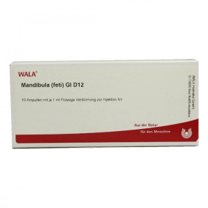 Wala Mandibula Feti Gl D12 Ampullen