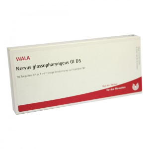 Wala Nervus Glossopharyngeus Gl D5 Ampullen