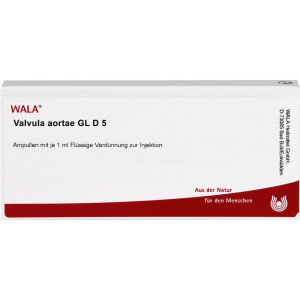 Wala Valvula Aortae Gl D5 Ampullen