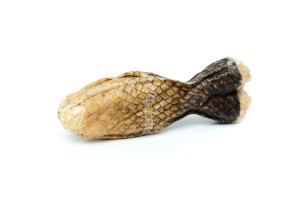 COMFY NATURAL KOŚĆ Z RYBĄ 12CM