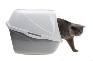 KUWETA ZAMKNIĘTA COMFY  EASY CAT 54 x 40 x 40 cm SZARA