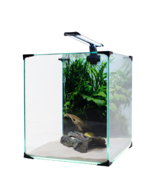 DIVERSA ZESTAW NEO LIGHT 30 - ROŚLINNE