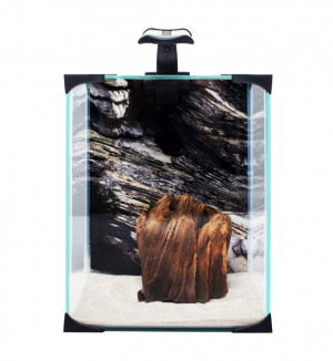 DIVERSA ZESTAW NEO LIGHT 10