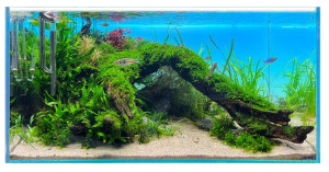 DIVERSA PANEL OŚWIETLENIOWY BACKLIGHT RGB  100X50