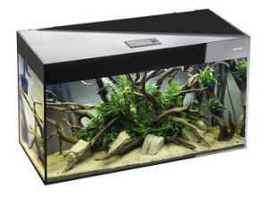 AQUAEL ZESTAW AKWARIOWY GLOSSY ST 80 D&N CZARNY