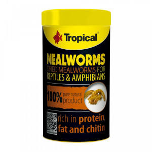 TROPICAL MEAL WORMS 100ML/13G