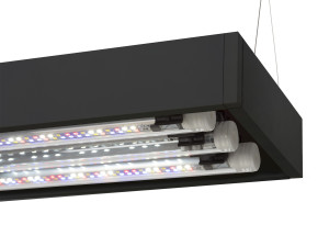 OŚWIETLENIE ULTRASCAPE 60 FOREST KOMPLET