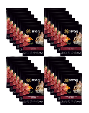 SAVORY SASZETKA DLA KOCIĄT Z JAGNIĘCINĄ I DYNIĄ W GALARECIE 24x85G