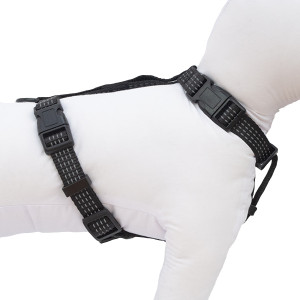 HAVE A PET SZELKI COMFORT REFLEX CZARNE M
