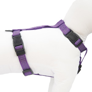 HAVE A PET SZELKI COMFORT REFLEX FIOLETOWE XS