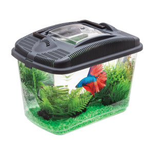 BETTA KIT AKWARIUM TRANSPORTOWE DLA BOJOWNIKA  3 LITRY