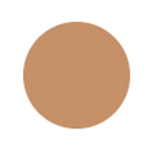 Sensai Cellular Performance Total Finish Foundation TF 24 Amber Beige