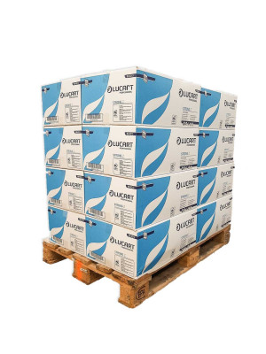 Bancale da 16 scatole di 18 pacchetti ciascuna di Asciugamani di carta piegati a Z Strong Lucart