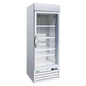FORCAR Armadio Congelatore Ventilato SNACK420BTG - Porta Vetro e Anta Singola - Capacit