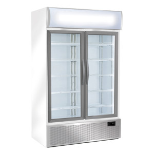 CoolHead Armadio Refrigerato Bibite TKG1000H - Doppia Anta a Battente e Canoply - Capacit