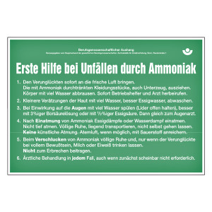 Hinweisschild "Erste Hilfe bei Unfällen durch Ammoniak" Aluminium geprägt und gelocht 430 x 300 mm