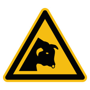 Warnzeichen Warnung vor Stier DIN EN ISO 7010 W034
