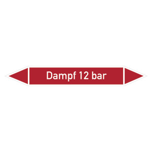 Rohrleitungskennzeichen Dampf 12 bar