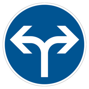 Verkehrsschild "Vorgeschriebene Fahrtrichtung rechts oder links" VZ 214-30, Aluminium 2 mm, reflektierend RA1