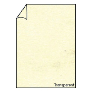 RÖSSLER Briefbogen Paperado - A4, 100 g/qm, transparent marmora