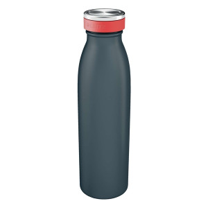 LEITZ Trinkflasche Cosy - 500 ml, grau