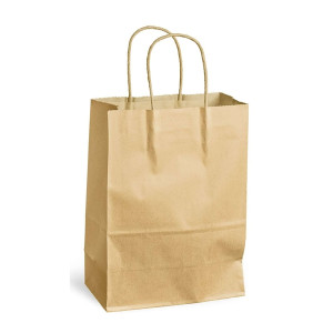 PACK´N POST Tragetasche - 240 x 110 x 330 mm, 250 Stück, braun